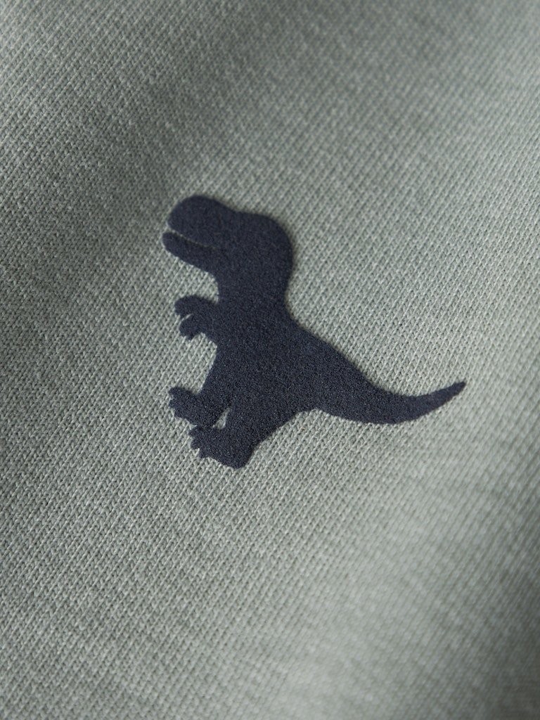 Name It Boys Dinodaur Zip-Up Hoodie