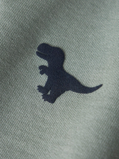 Name It Boys Dinodaur Zip-Up Hoodie