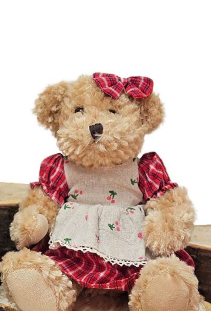 The Cottage Collection Bear In Red Check Dress-BB288