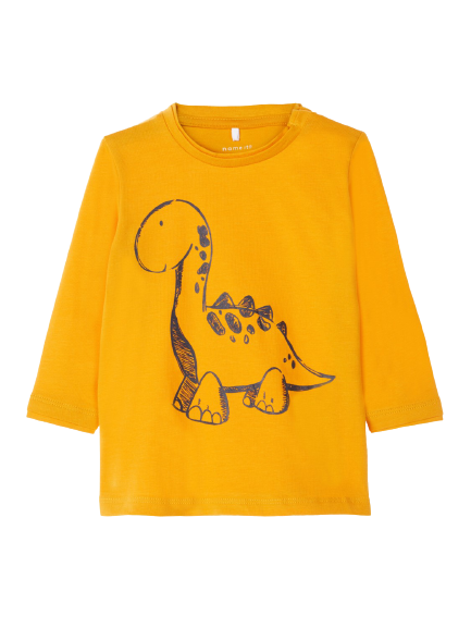 Baby Boy Long Sleeve Dinosaur Tops