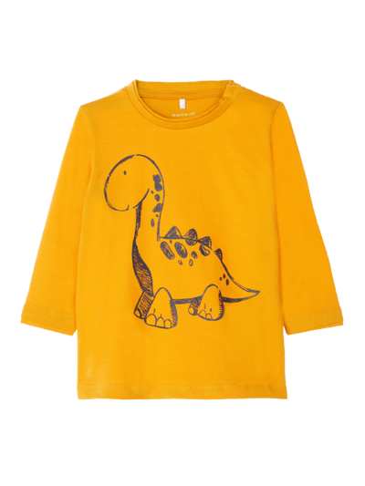 Baby Boy Long Sleeve Dinosaur Tops