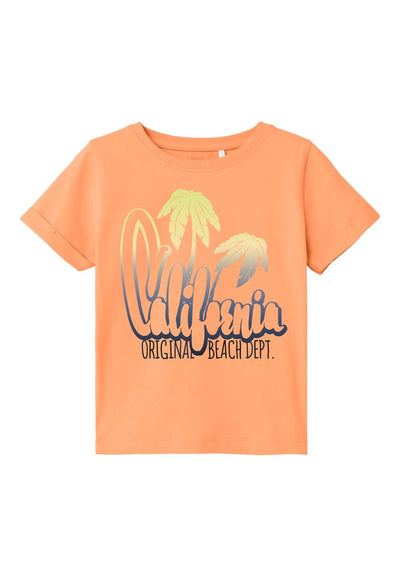 Name it Boys Short Sleeved Graphic Print T-Shirt
