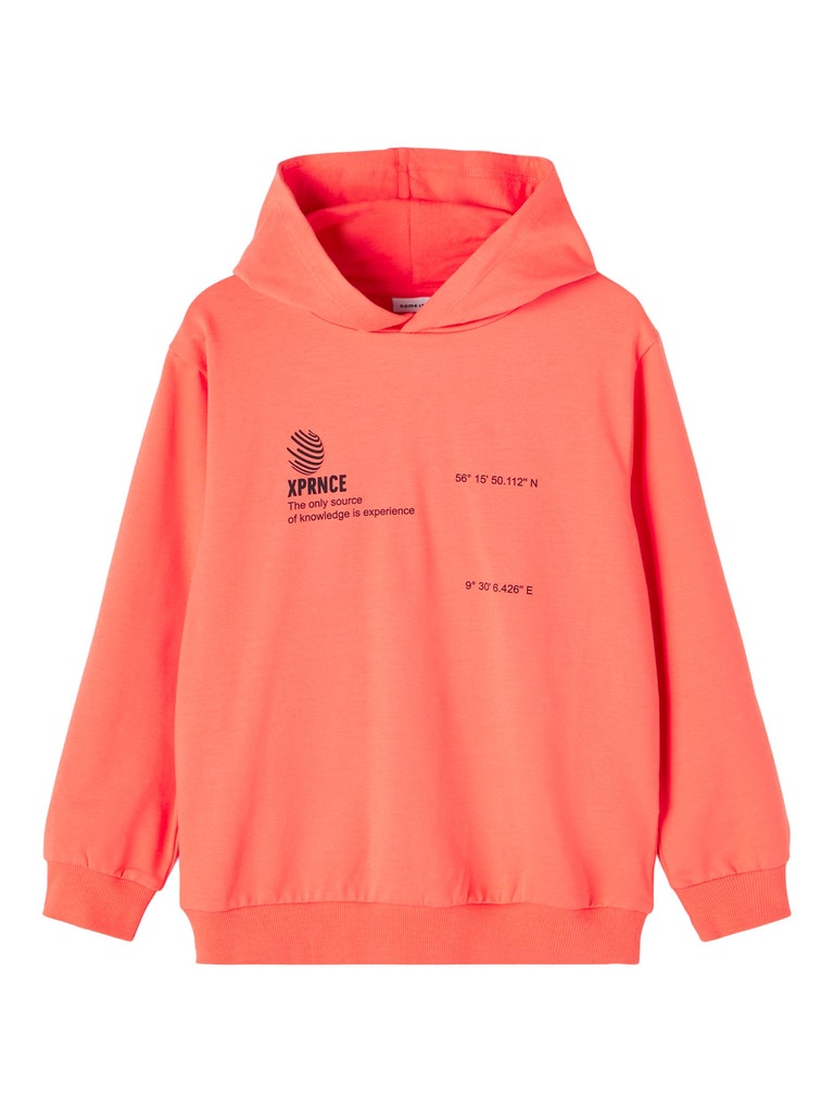 Name it Boys Spring Hoodie Sweatshirt