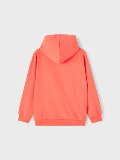 Name it Boys Spring Hoodie Sweatshirt