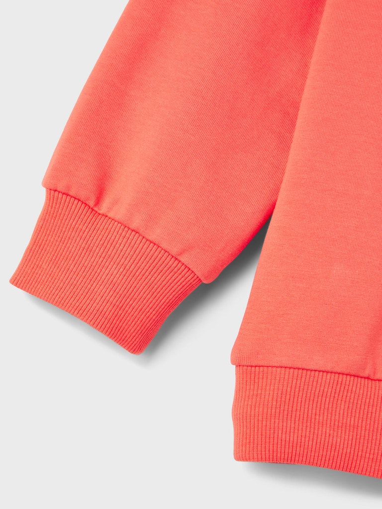 Name it Boys Spring Hoodie Sweatshirt