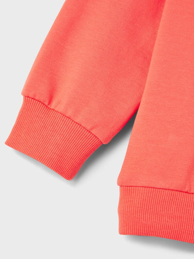 Name it Boys Spring Hoodie Sweatshirt