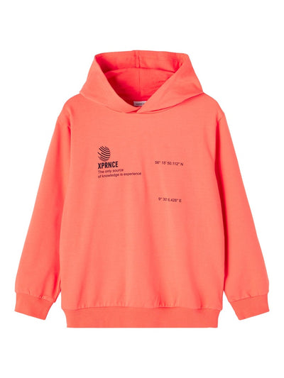 Name it Boys Spring Hoodie Sweatshirt