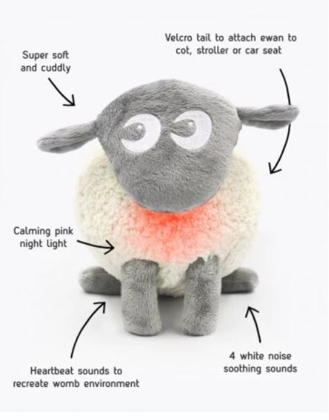 EWAN THE DREAM SHEEP - GREY
