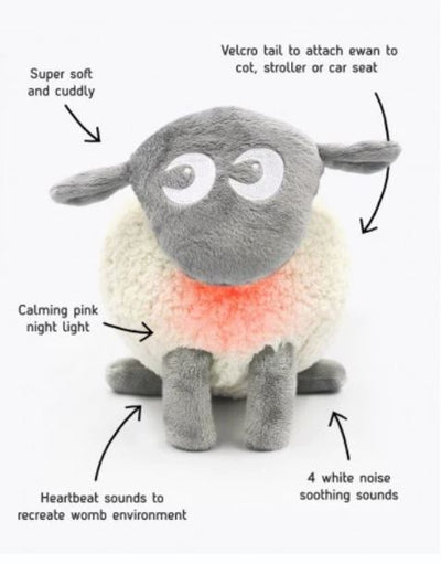 EWAN THE DREAM SHEEP - GREY