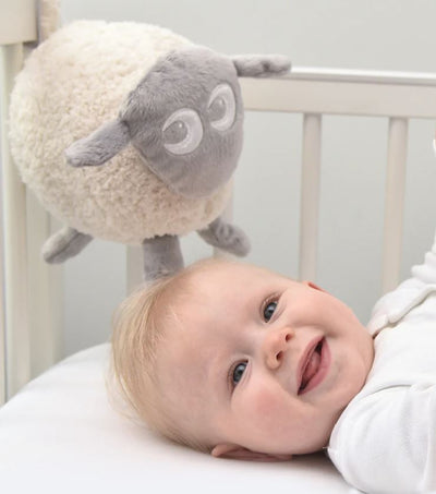 EWAN THE DREAM SHEEP - GREY