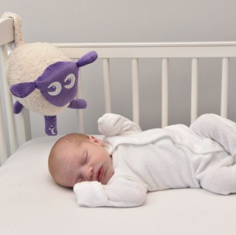 EWAN THE SHEEP DELUXE - PURPLE