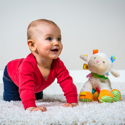 Taggies Sherbet Lamb Soft Toy